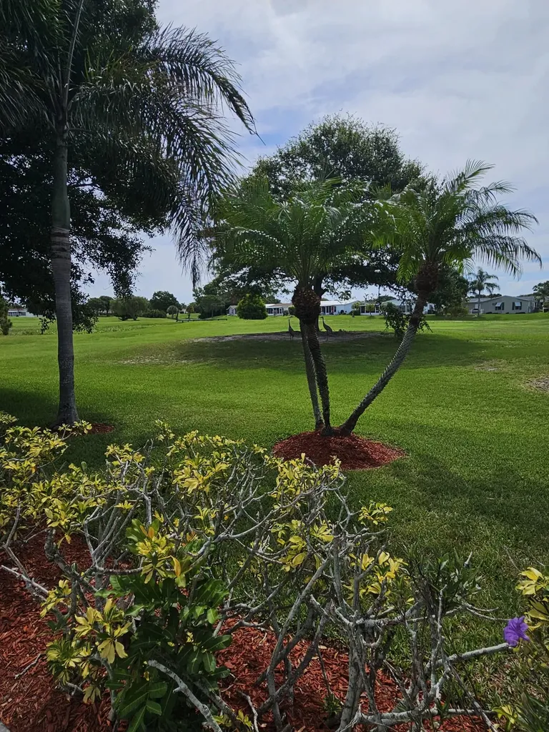 3229 Scarlet Tanager Court Port St Lucie FL 34952