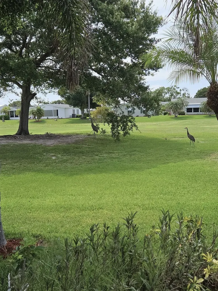 3229 Scarlet Tanager Court Port St Lucie FL 34952