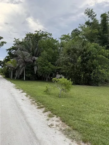 345 Citrus Drive Loxahatchee Groves FL 33470