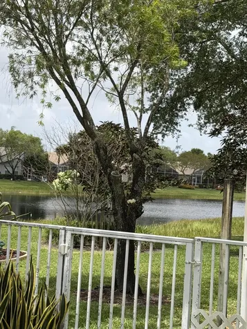 8046 Florenza Drive Boynton Beach FL 33472
