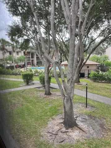 204 Foxtail Drive Greenacres FL 33415