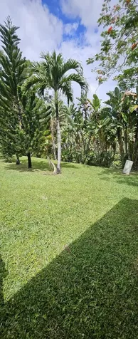 Boca Raton FL 33428