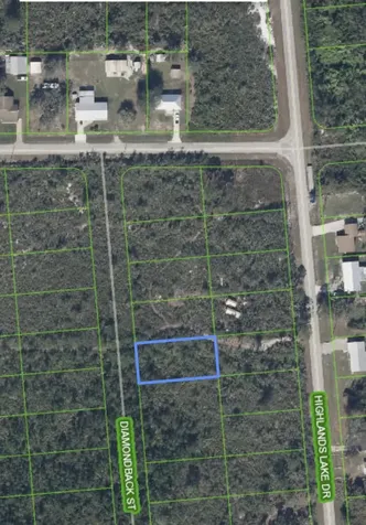 651 Mckinley Street Lake Placid FL 33852