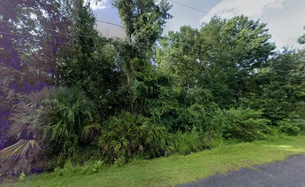 242 Toms Road Debary FL 32713