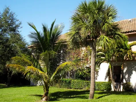 3355 Jaywood Terrace Boca Raton FL 33431