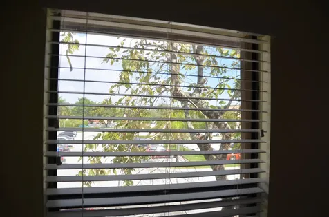 3355 Jaywood Terrace Boca Raton FL 33431