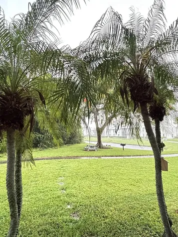 1007 Green Pine Boulevard West Palm Beach FL 33409