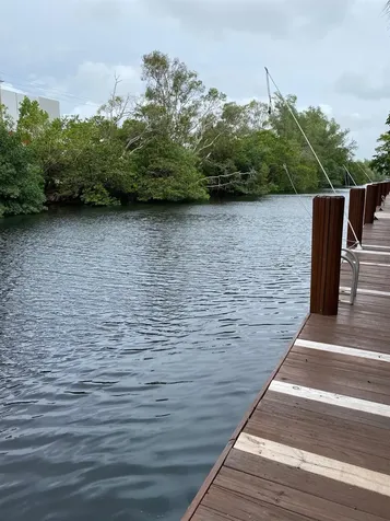1407 NE 56th Street Fort Lauderdale FL 33334