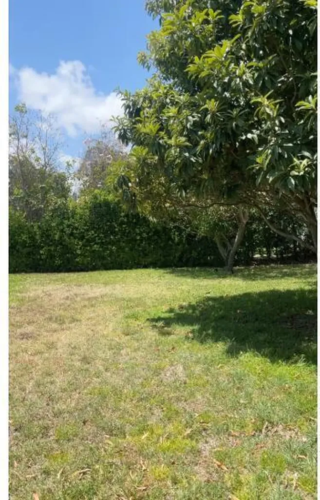477 NE 35th Street Boca Raton FL 33431