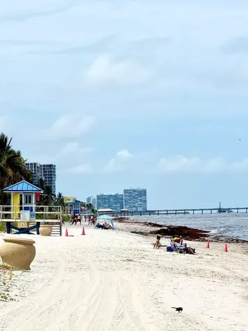 1058 SE 6th Court Dania Beach FL 33004