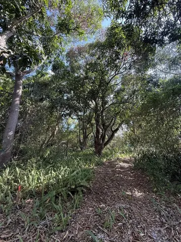 2363 SE Street Lucie Boulevard Stuart FL 34996