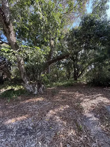 2363 SE Street Lucie Boulevard Stuart FL 34996