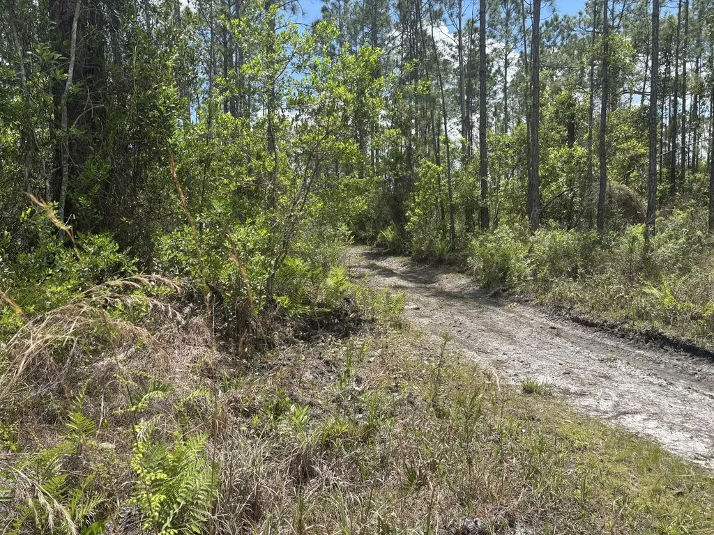 0 Holopaw Groves Road St. Cloud FL 34772