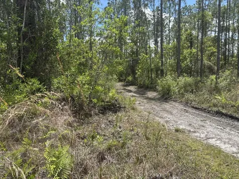 0 Holopaw Groves Road St. Cloud FL 34772