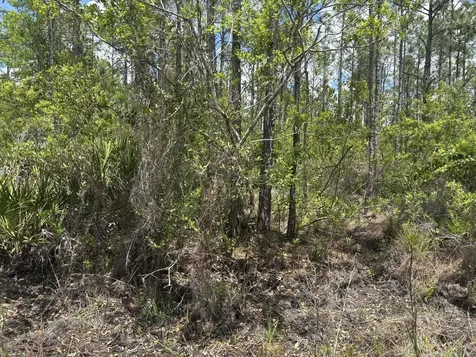 0 Holopaw Groves Road St. Cloud FL 34772