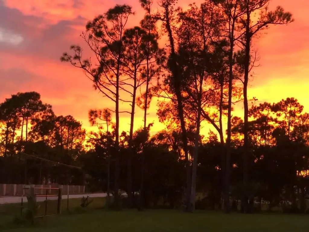 12543 N 73rd Court N The Acreage FL 33412