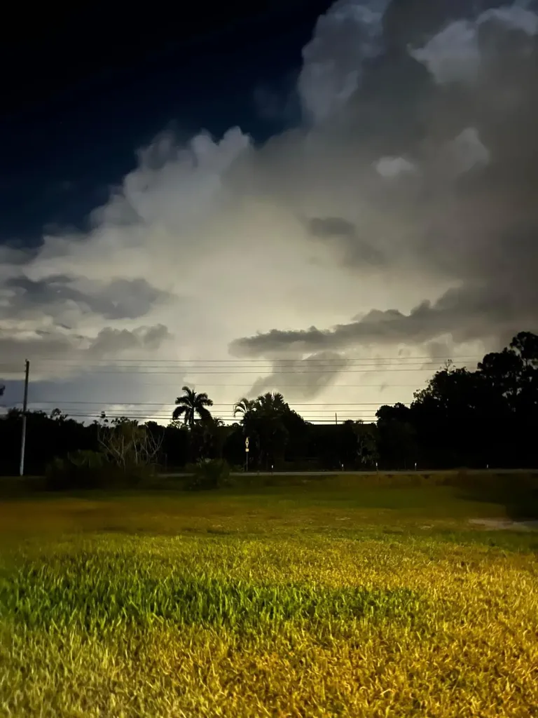 12543 N 73rd Court N The Acreage FL 33412