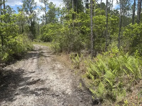 0 Holopaw Groves Road St. Cloud FL 34772