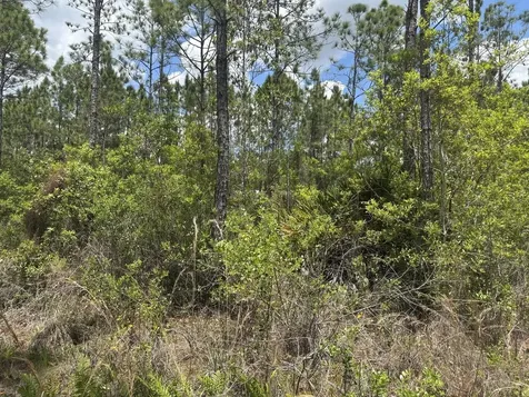 0 Holopaw Groves Road St. Cloud FL 34772