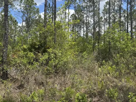 0 Holopaw Groves Road St. Cloud FL 34772
