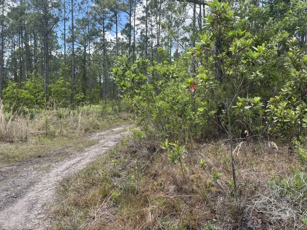 0 Holopaw Groves Road St. Cloud FL 34772