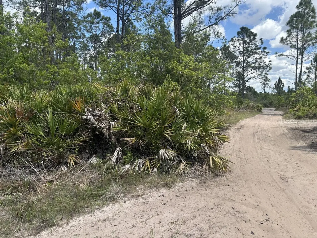 0 Holopaw Groves Road St. Cloud FL 34772