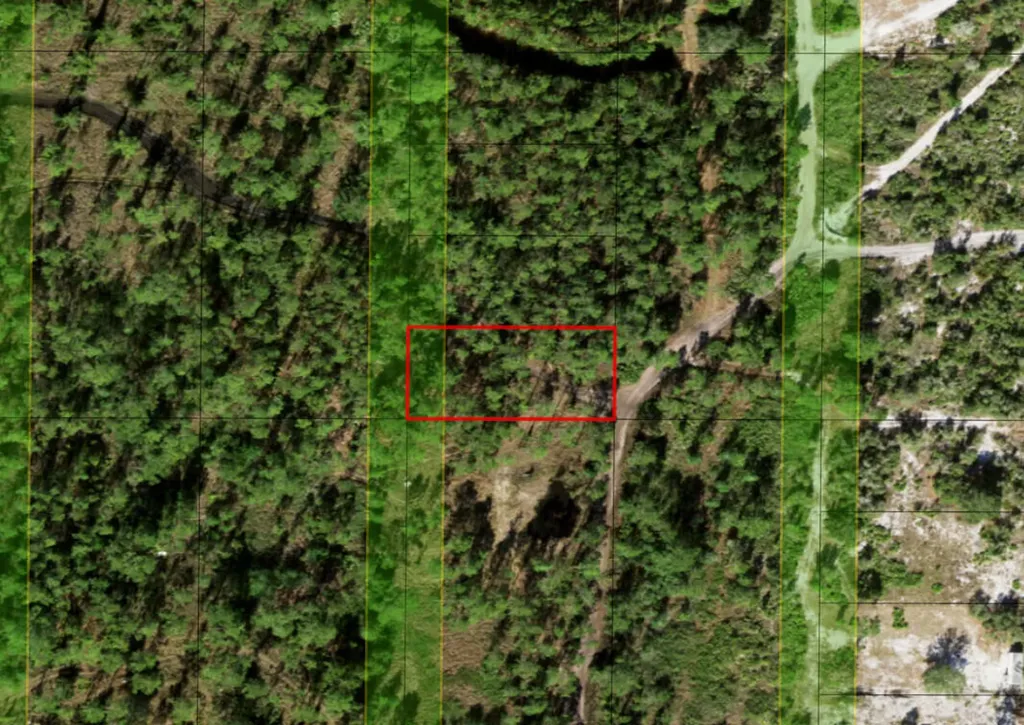 0 Holopaw Groves Road St. Cloud FL 34772
