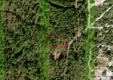 0 Holopaw Groves Road St. Cloud FL 34772