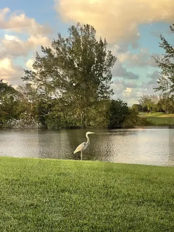 5558 Parkwalk Circle E Boynton Beach FL 33472