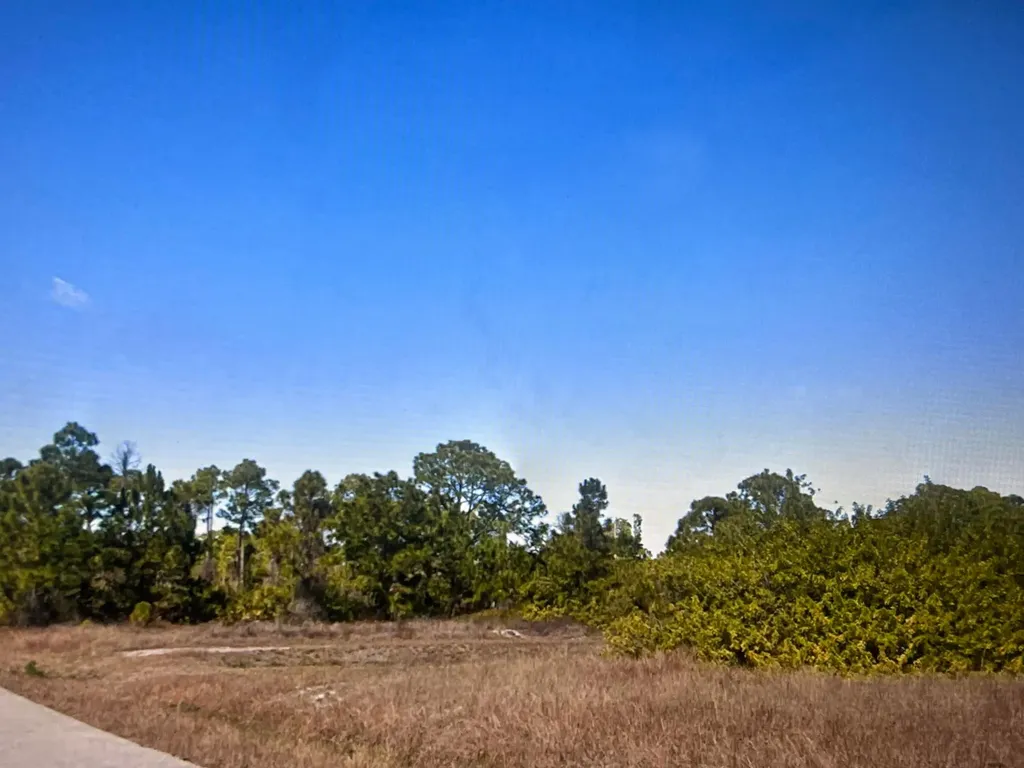 952 Hansen Street E Lehigh Acres FL 33974