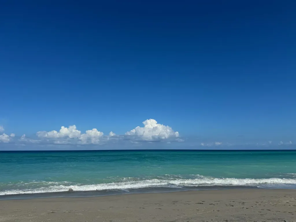 401 Ocean Bluffs Boulevard Jupiter FL 33477