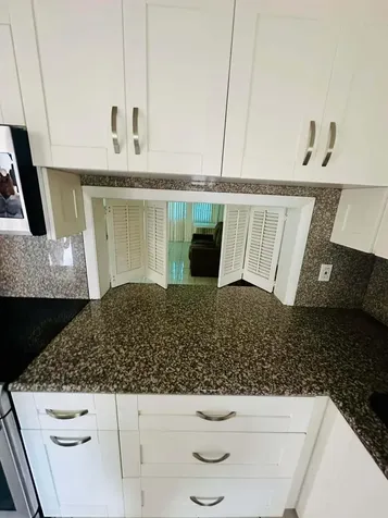 215 SE 3rd Avenue Hallandale Beach FL 33009