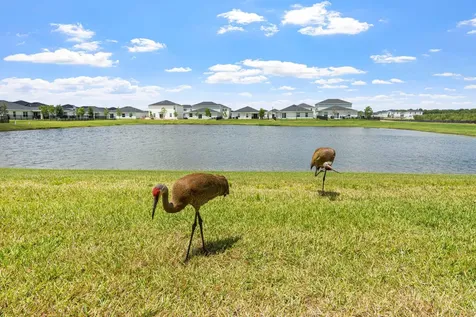 5964 NW Sweetwood Drive Port St Lucie FL 34987