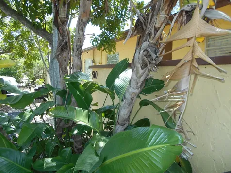 510 NW 43rd Street Deerfield Beach FL 33064