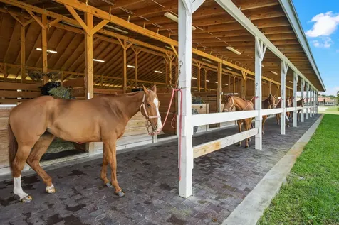 12059 S 50th Street S Wellington FL 33449