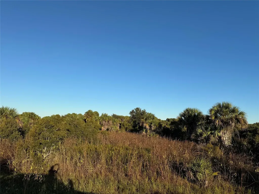 2025 Cabbage Lane Okeechobee FL 34974