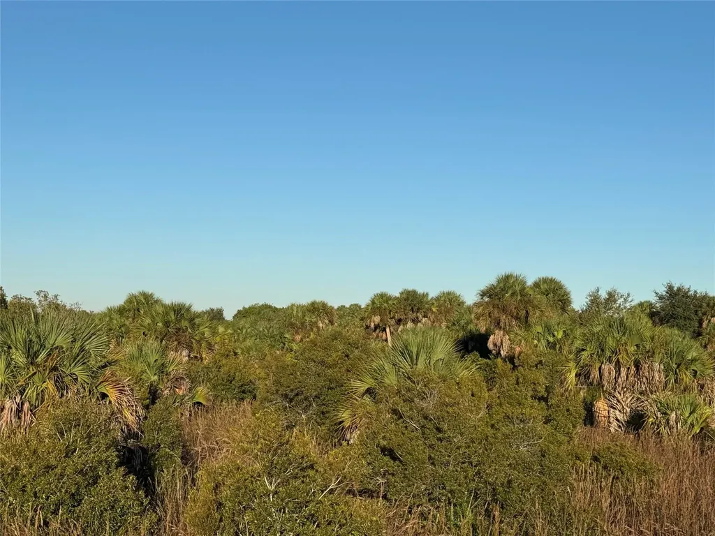 2025 Cabbage Lane Okeechobee FL 34974