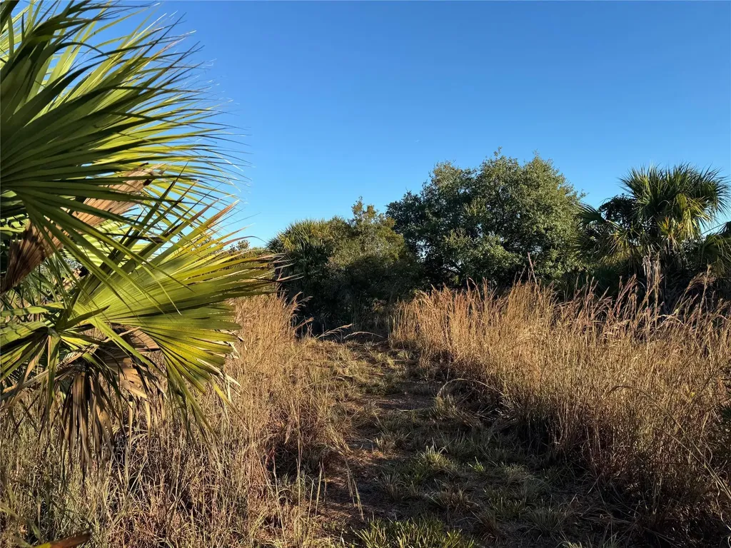 2025 Cabbage Lane Okeechobee FL 34974