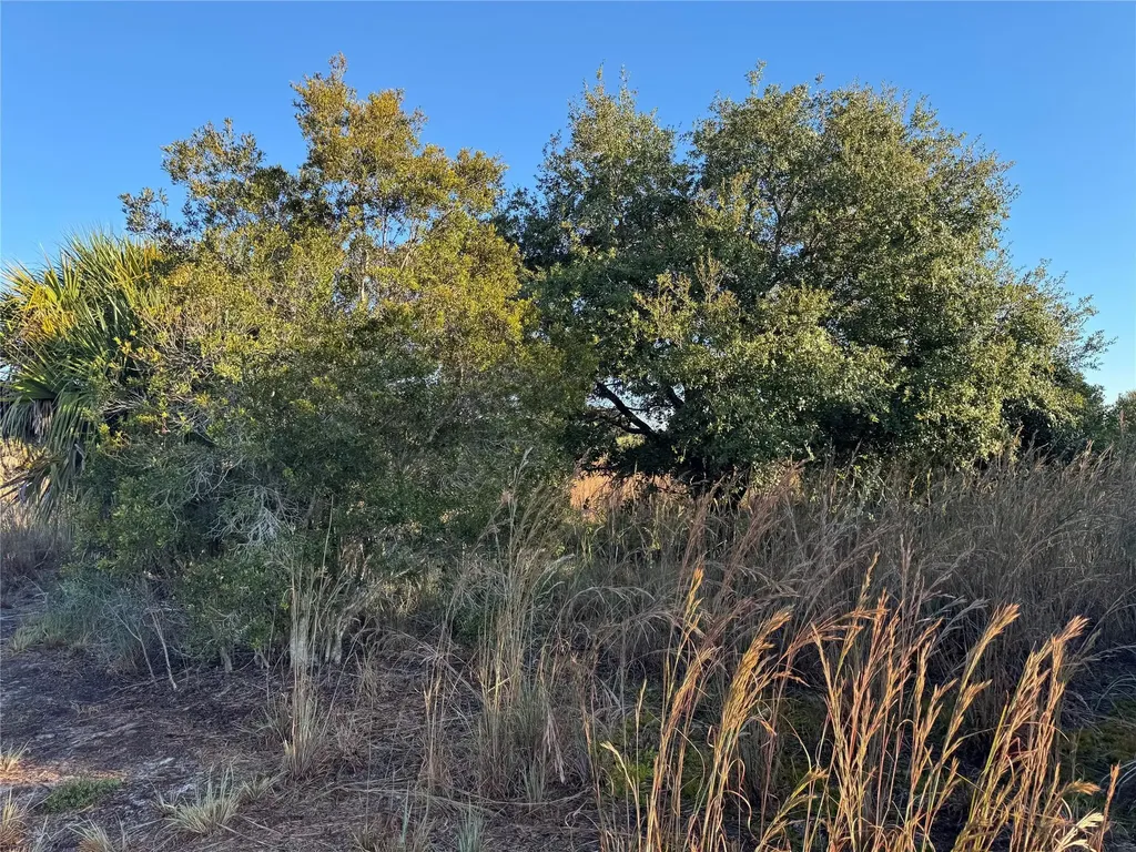 2025 Cabbage Lane Okeechobee FL 34974