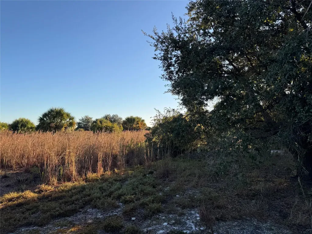 2025 Cabbage Lane Okeechobee FL 34974