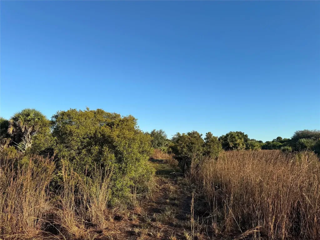 2025 Cabbage Lane Okeechobee FL 34974