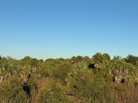 2025 Cabbage Lane Okeechobee FL 34974