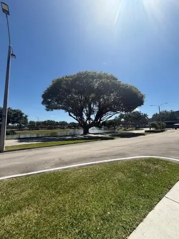 92 Valencia Drive Delray Beach FL 33446