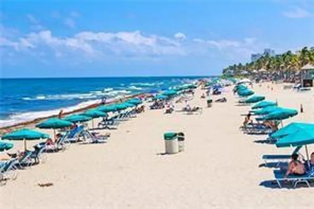 137 Farnham F Deerfield Beach FL 33442