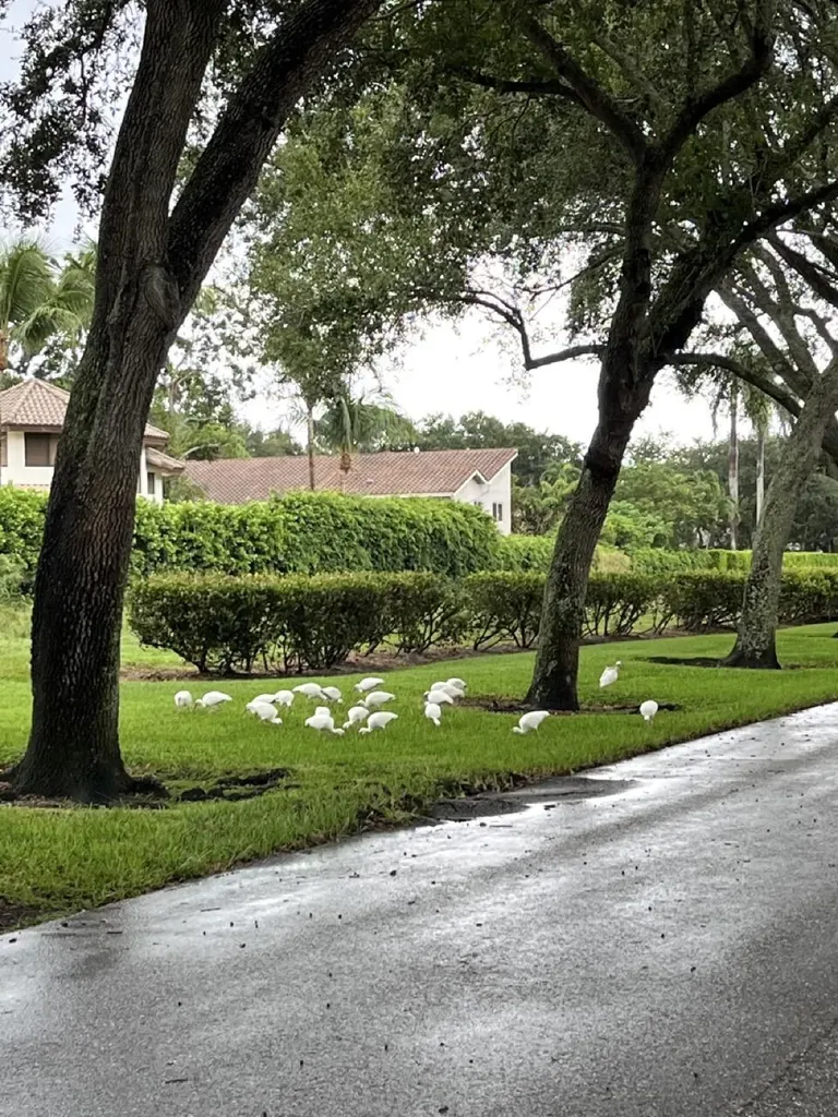 4020 NW 24th Terrace Boca Raton FL 33431