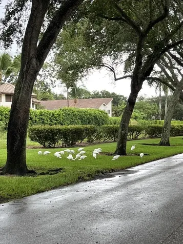 4020 NW 24th Terrace Boca Raton FL 33431