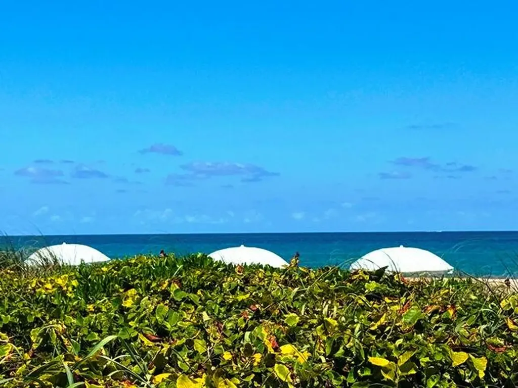 2560 S Ocean Boulevard Palm Beach FL 33480