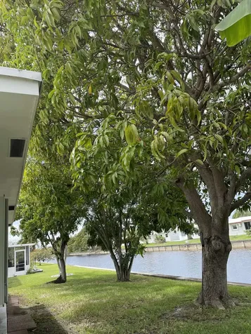 6703 NW 73rd Street Tamarac FL 33321