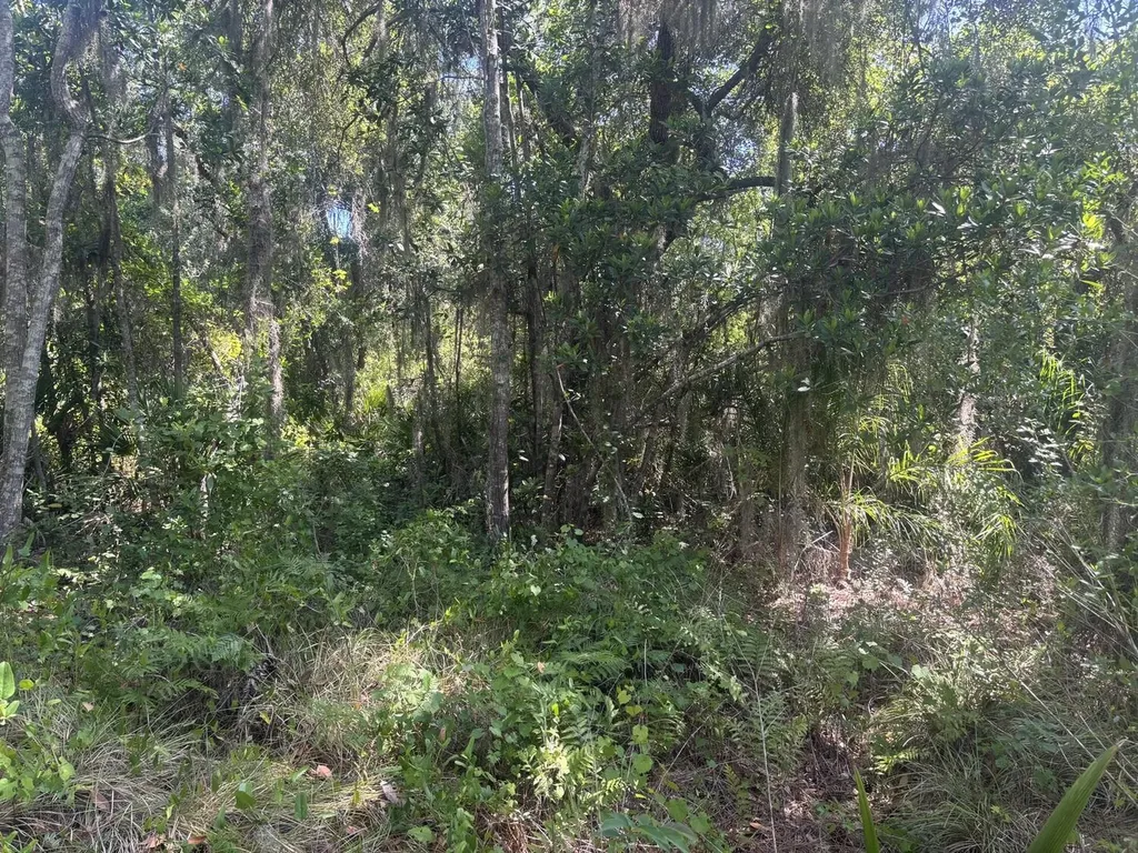 536 Bright Hill Avenue Lake Placid FL 33852