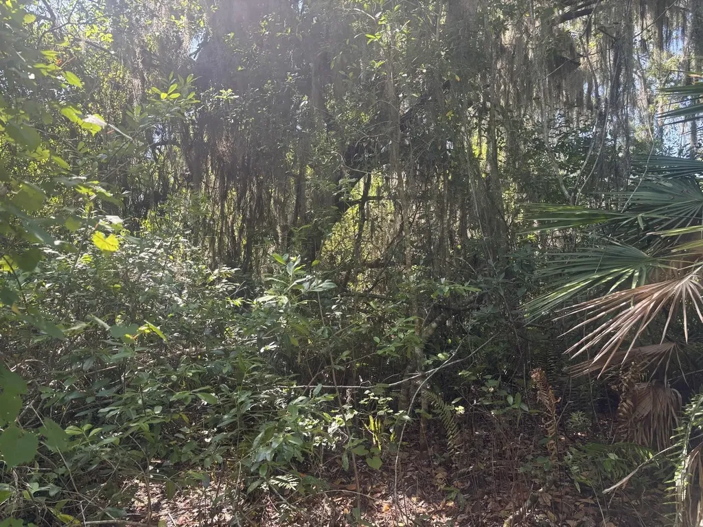 536 Bright Hill Avenue Lake Placid FL 33852